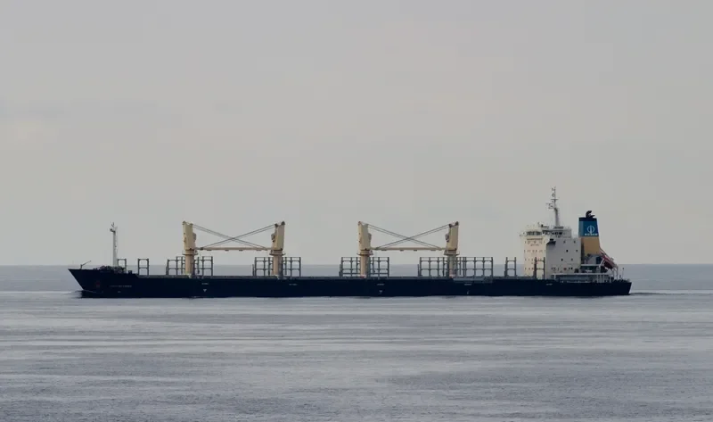 COSCO WUYISHAN Bulk Carrier IMO 9418303 photo 5