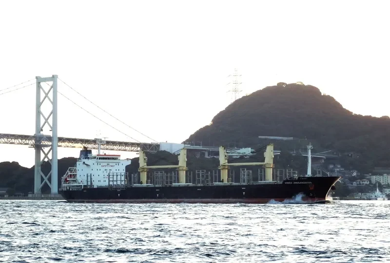 COSCO JINGGANGSHAN General Cargo IMO 9418315
