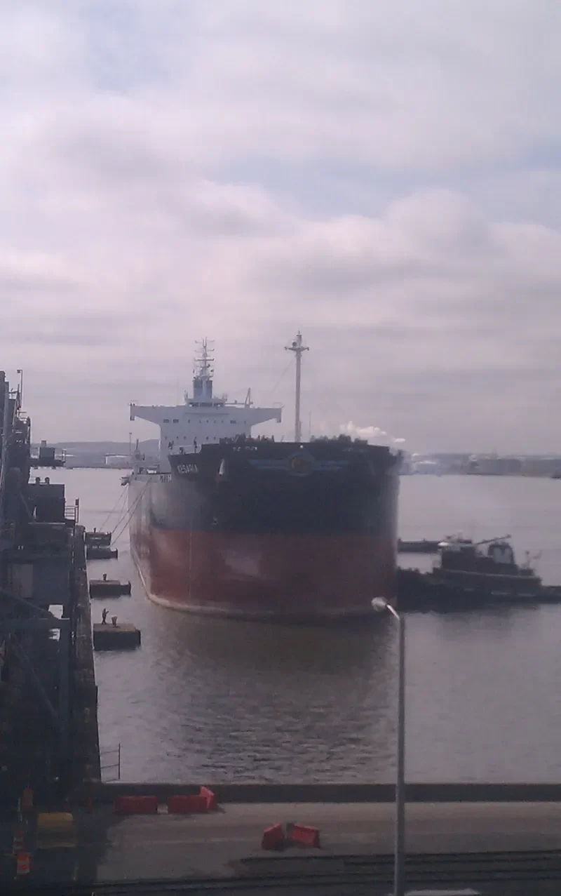 KESARIA Bulk Carrier IMO 9418444 photo 5