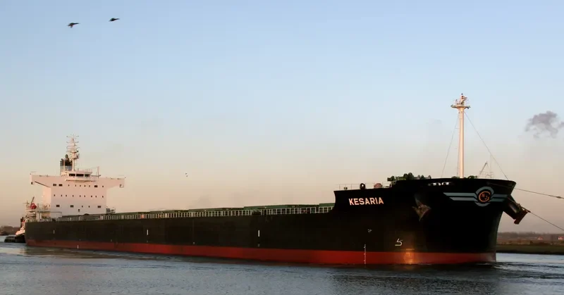 KESARIA Bulk Carrier IMO 9418444 photo 8