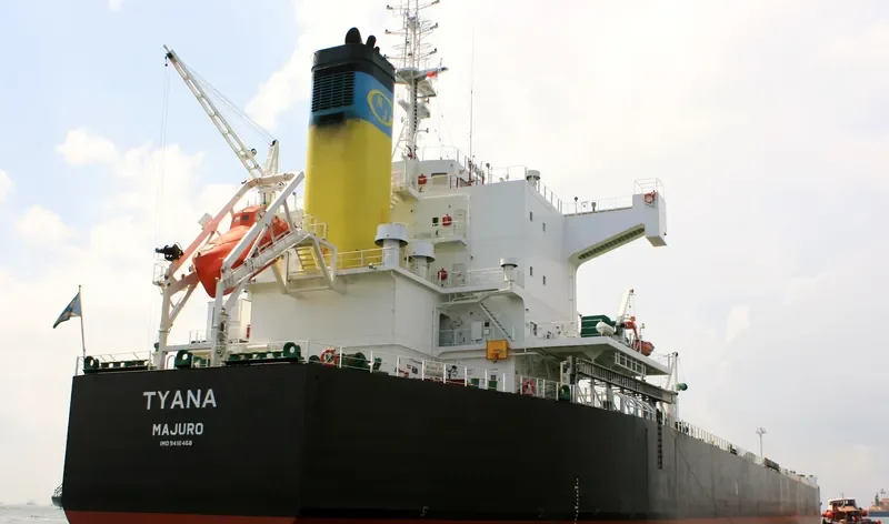 TYANA Bulk Carrier IMO 9418468 photo 3