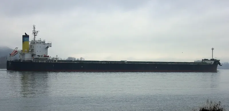 TYANA Bulk Carrier IMO 9418468 photo 4