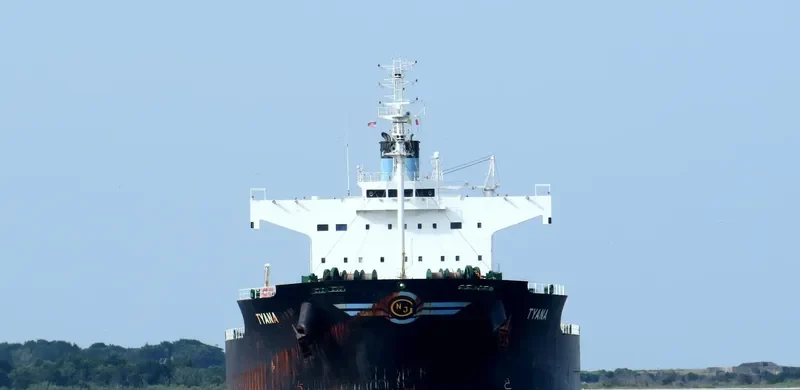TYANA Bulk Carrier IMO 9418468 photo 9