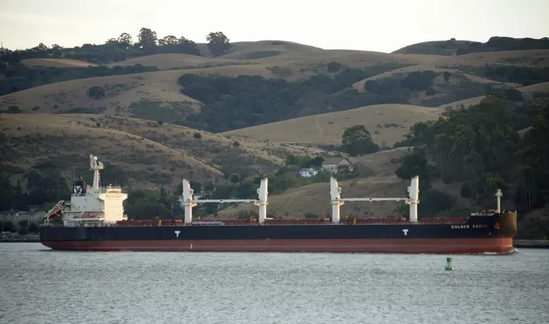 GOLDEN EAGLE Bulk Carrier IMO 9418731 photo 6