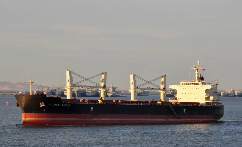 GOLDEN EAGLE Bulk Carrier IMO 9418731 photo 7