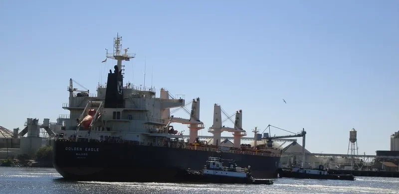 GOLDEN EAGLE Bulk Carrier IMO 9418731 photo 8