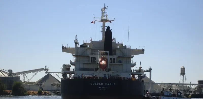 GOLDEN EAGLE Bulk Carrier IMO 9418731 photo 9