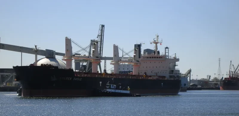 GOLDEN EAGLE Bulk Carrier IMO 9418731 photo 10