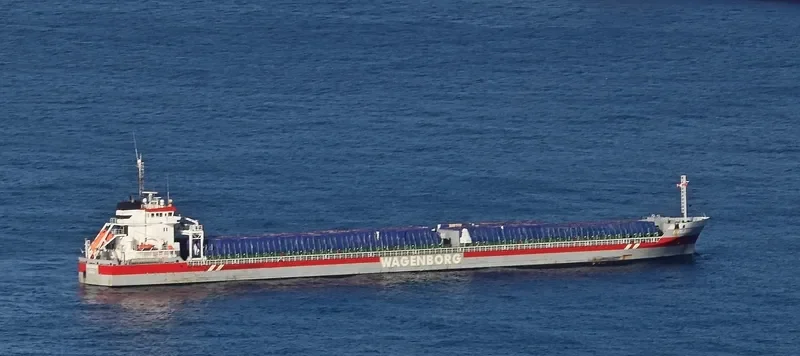 FIVELBORG Container Ship IMO 9419307 photo 2