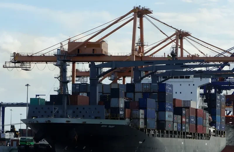 MSC RINI III Container Ship IMO 9419644