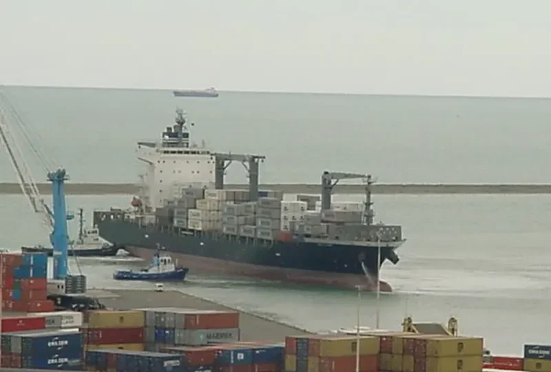 MSC RINI III Container Ship IMO 9419644 photo 6