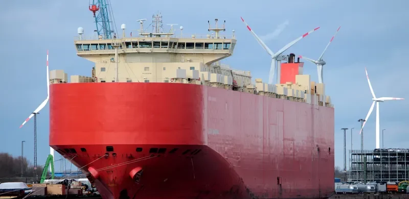 GLOVIS CARDINAL General Cargo IMO 9419759 photo 6