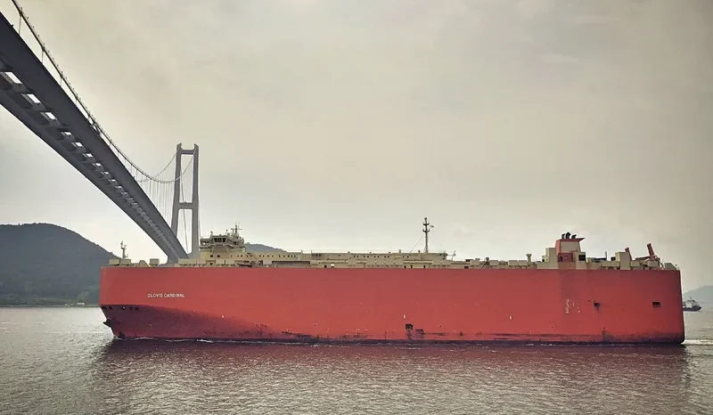 GLOVIS CARDINAL General Cargo IMO 9419759 photo 8