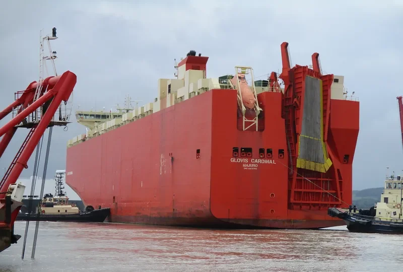 GLOVIS CARDINAL General Cargo IMO 9419759 photo 10