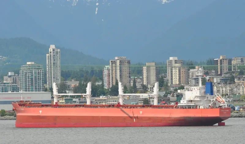 IVY BLUE Bulk Carrier IMO 9419943 photo 5