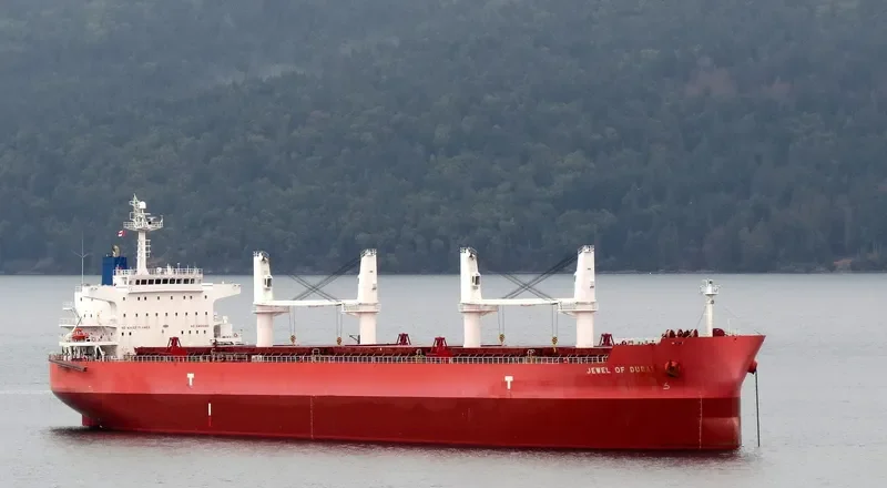 IVY BLUE Bulk Carrier IMO 9419943 photo 7