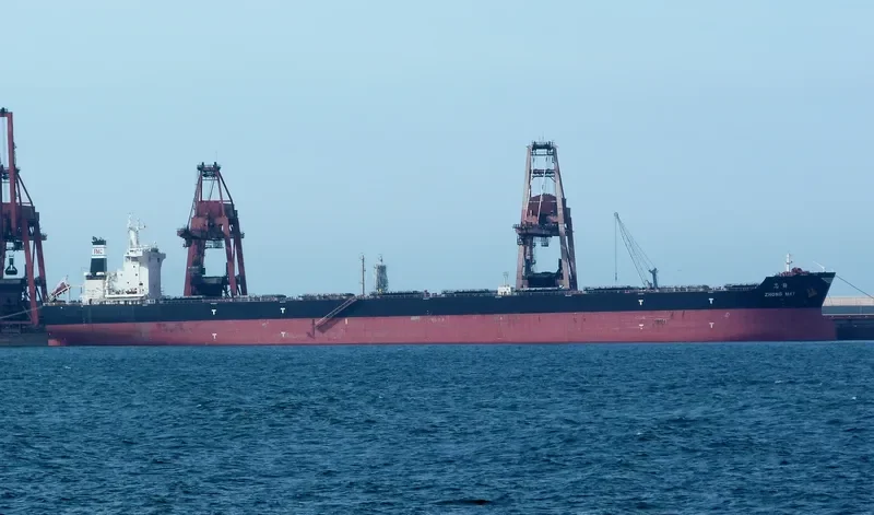 ZHONG MAY Bulk Carrier IMO 9420124 photo 6