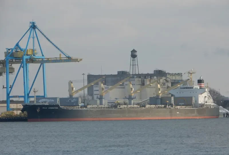 AROSA Bulk Carrier IMO 9420265