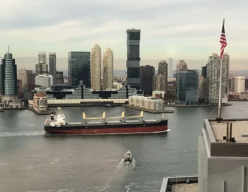AROSA Bulk Carrier IMO 9420265 photo 4