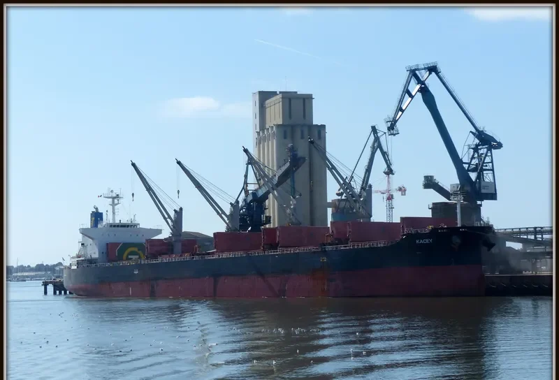 KACEY Bulk Carrier IMO 9420277 photo 3