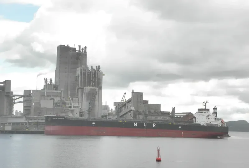 LUMOSO LANCAR Bulk Carrier IMO 9420289 photo 6