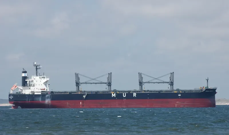 LUMOSO LANCAR Bulk Carrier IMO 9420289 photo 9