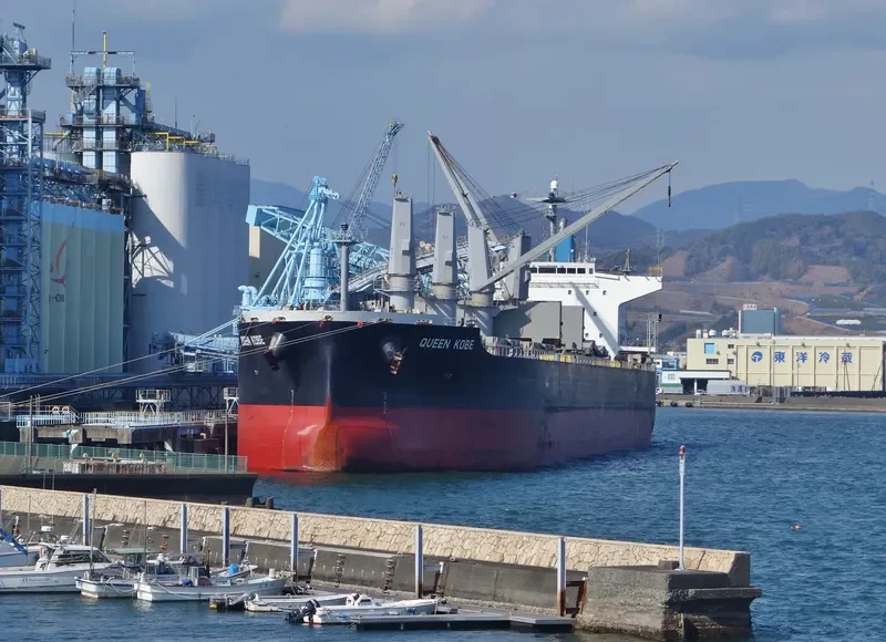 QUEEN KOBE Bulk Carrier IMO 9420291 photo 2
