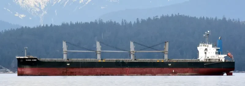 QUEEN KOBE Bulk Carrier IMO 9420291 photo 4