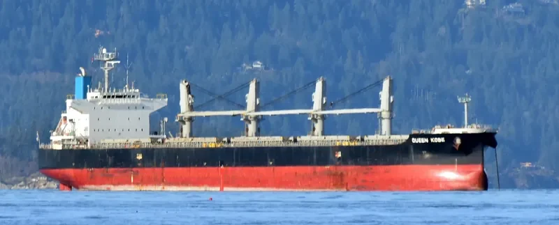 QUEEN KOBE Bulk Carrier IMO 9420291 photo 5