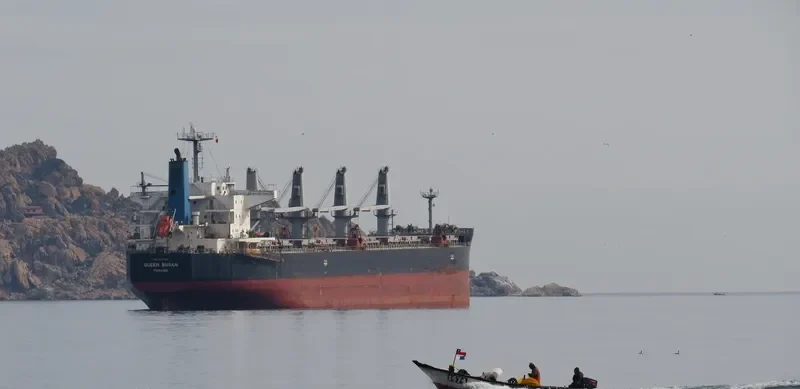 QUEEN BUSAN Bulk Carrier IMO 9420320