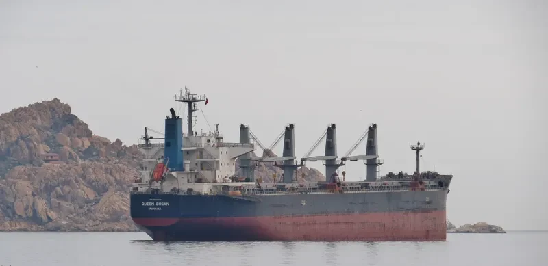 QUEEN BUSAN Bulk Carrier IMO 9420320 photo 3