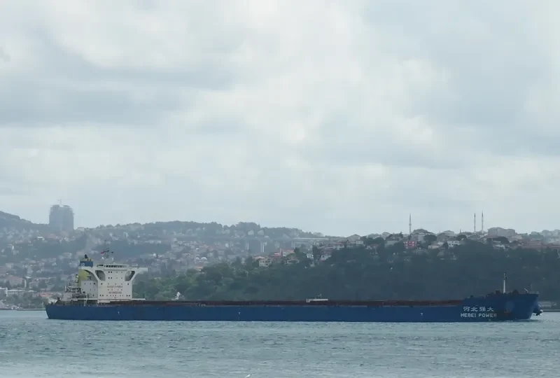 HEBEI POWER Bulk Carrier IMO 9420588