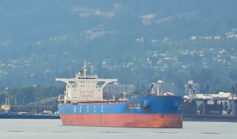 HEBEI KING Bulk Carrier IMO 9420605 photo 4