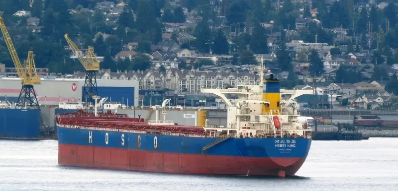 HEBEI KING Bulk Carrier IMO 9420605 photo 6