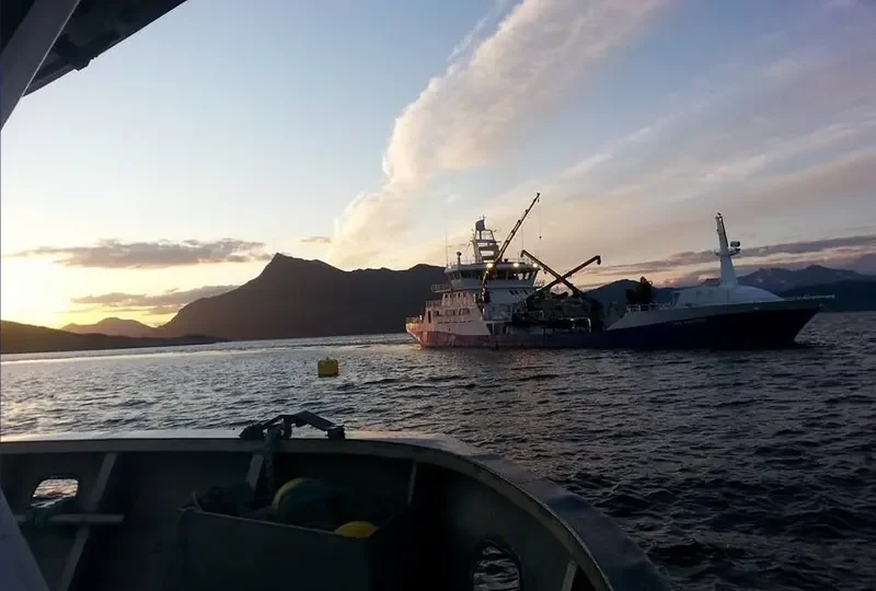 RO MASTER General Cargo IMO 9420679 photo 2