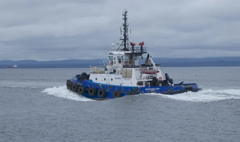 OCEAN RAYMOND LEMAY General Cargo IMO 9420904 photo 5
