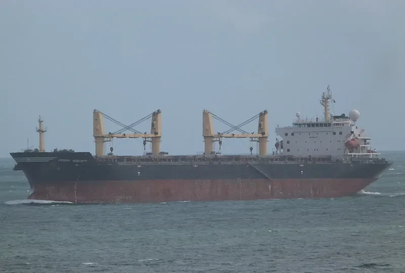 WOOYANG HERMES Bulk Carrier IMO 9421257 photo 2