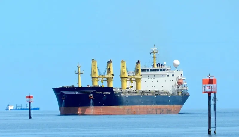 WOOYANG HERMES Bulk Carrier IMO 9421257 photo 9