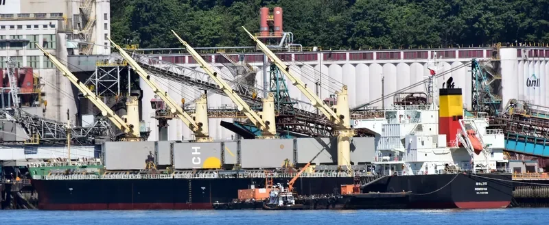 ALBATROSS ISLAND Bulk Carrier IMO 9421439 photo 2
