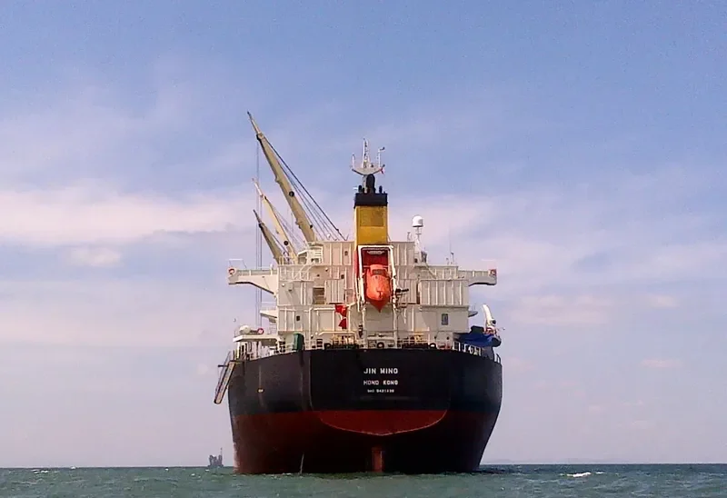 ALBATROSS ISLAND Bulk Carrier IMO 9421439 photo 7