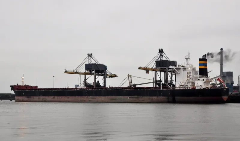 MYSTIC Bulk Carrier IMO 9421831 photo 8