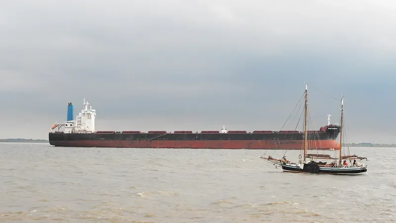 LADYCHARM Bulk Carrier IMO 9421843