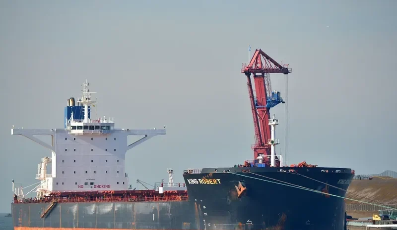 LADYCHARM Bulk Carrier IMO 9421843 photo 2