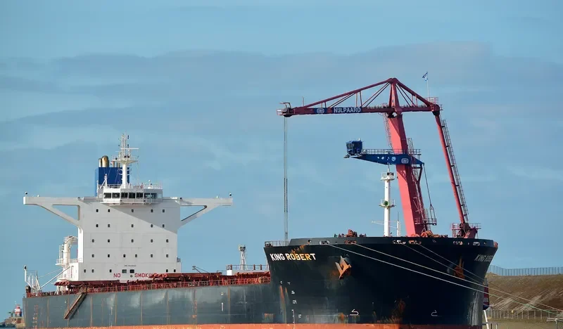 LADYCHARM Bulk Carrier IMO 9421843 photo 4