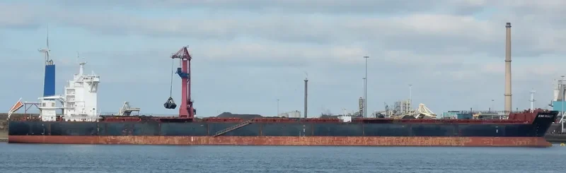 LADYCHARM Bulk Carrier IMO 9421843 photo 7