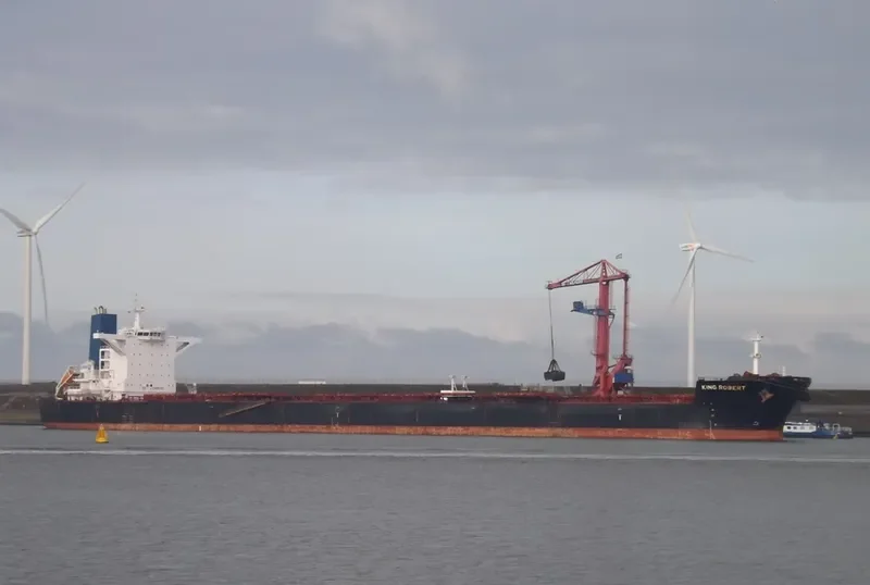 LADYCHARM Bulk Carrier IMO 9421843 photo 9