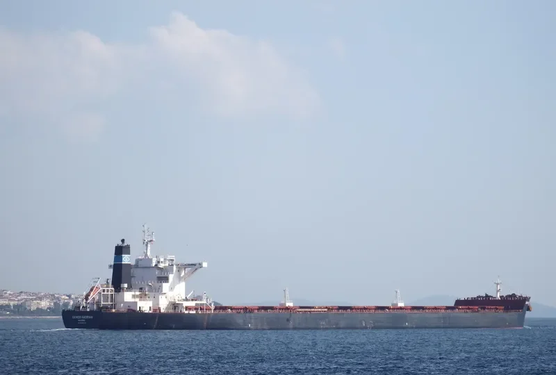 GENCO HADRIAN Bulk Carrier IMO 9422067 photo 3