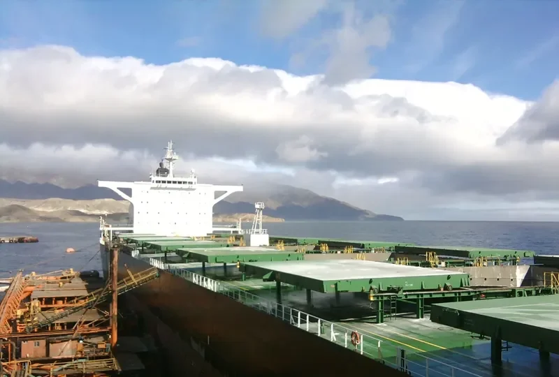GENCO MAXIMUS Bulk Carrier IMO 9422081 photo 4