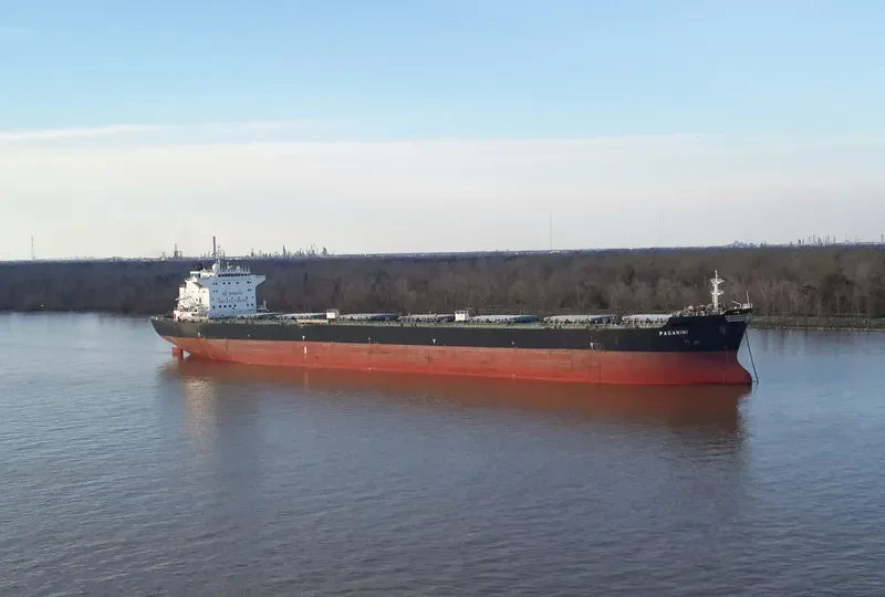 PAGANINI Bulk Carrier IMO 9422328 photo 2