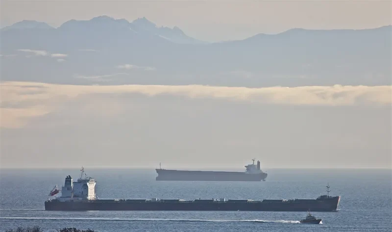PAGANINI Bulk Carrier IMO 9422328 photo 3